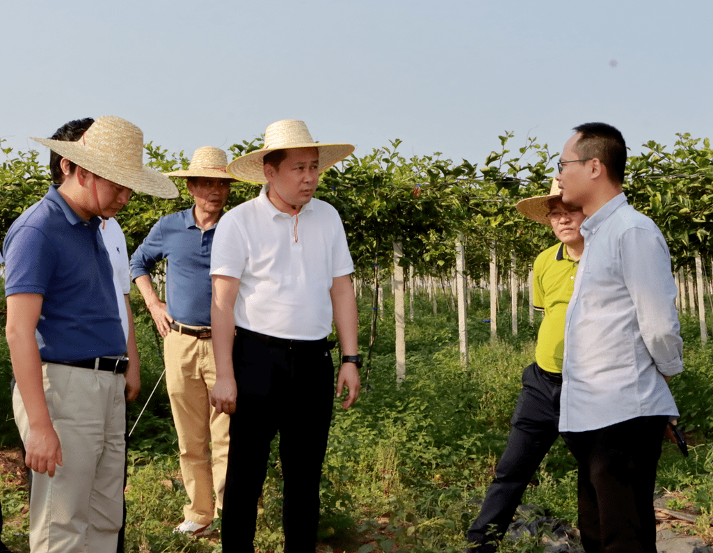 昌江县长梁明图片