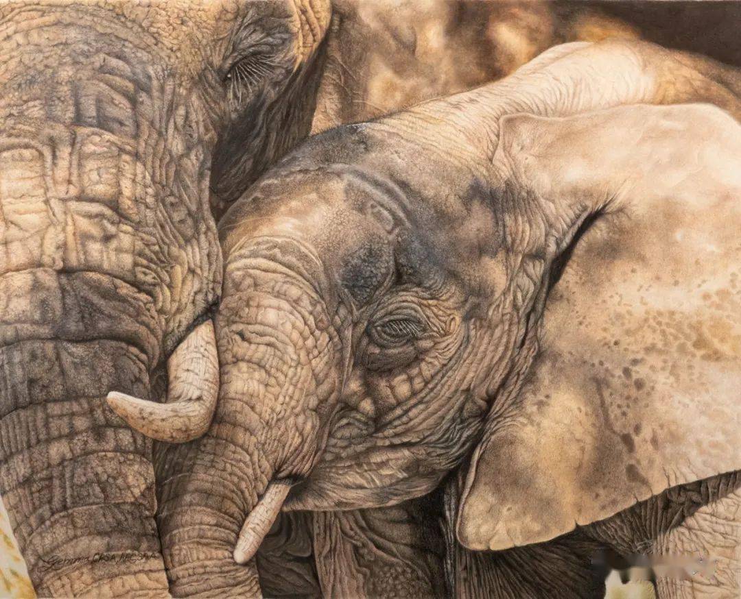 盛鑫煜推荐美国第30届国际彩铅艺术年展