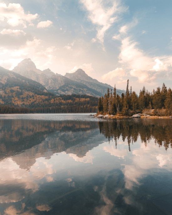 洗头头皮油脂“清道夫”!千年盐湖盐泥+北极光云杉,3天不洗头不油也不痒,头发像丝绸一样顺滑!