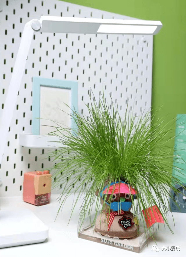 超新奇春天就该玩自然类玩具蝴蝶盲盒迷你阳光房超级袜草太好玩了