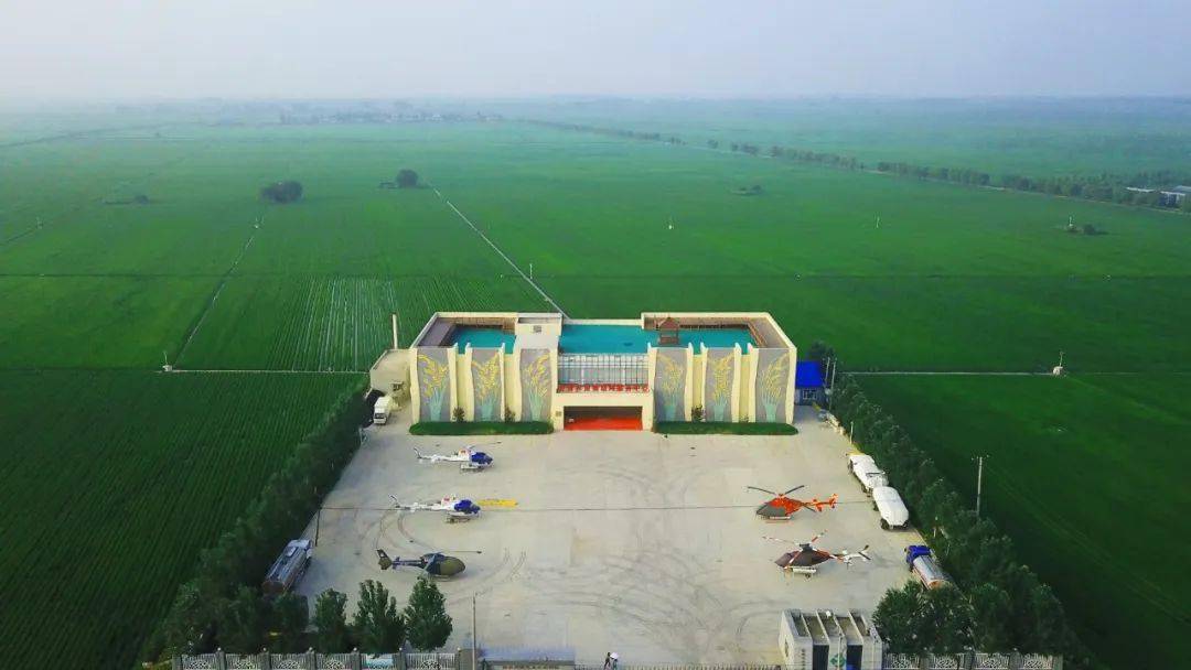 非常" 五常 "!_拉林满族镇_大米_全国