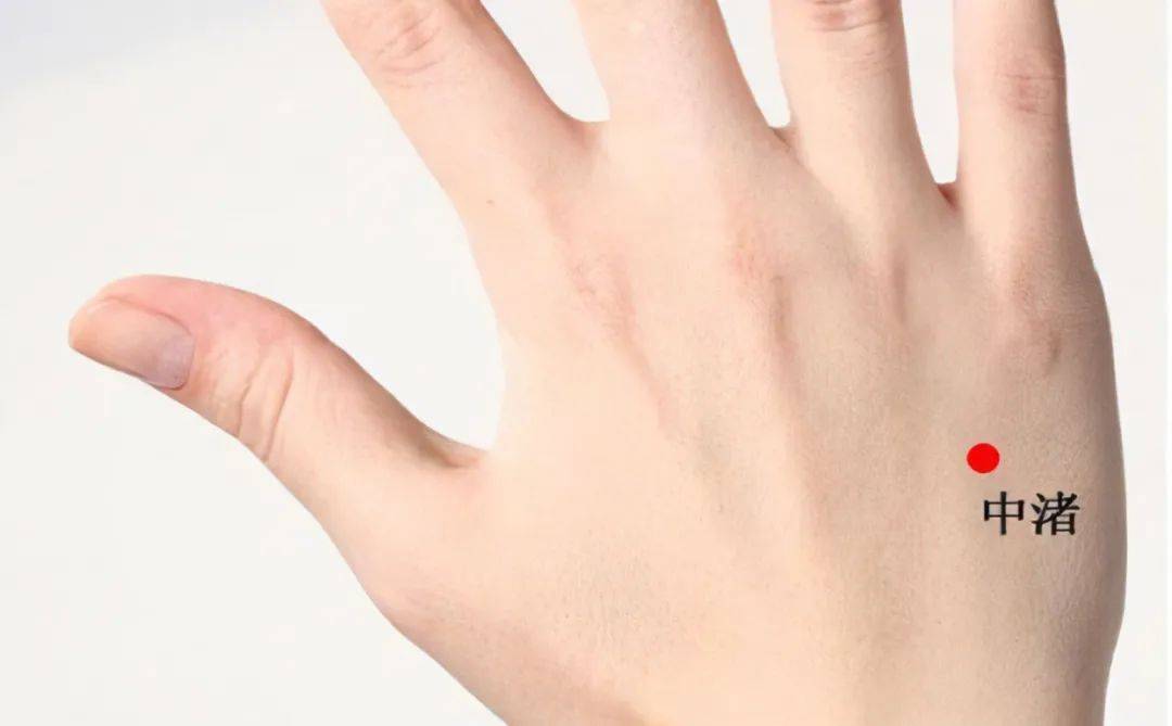 三焦|广东平均睡眠时间23:55！昨晚，你睡得好吗？