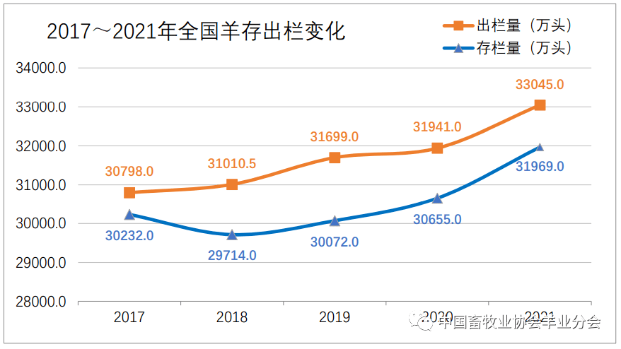 出栏情况是什么意思