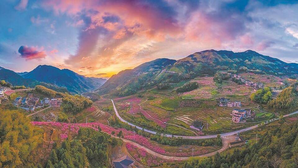 漫山遍野|宁德福安：畲乡春日