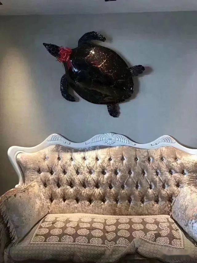 玳瑁海龟做成的工艺品,据说可以辟邪镇宅,挂在你家墙上行么