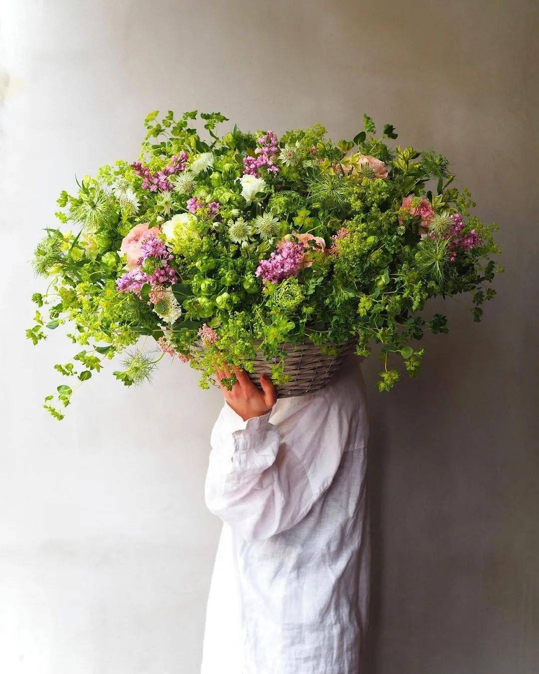 你能砍掉所有的鲜花,却不能阻止春天_威廉·柯珀图_疫情_芬芳