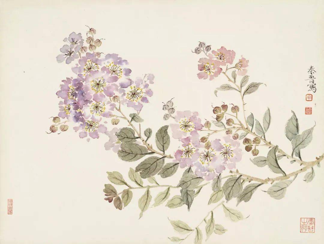 宋秦晋的没骨画花卉99幅清雅恬静如梦境般虚幻