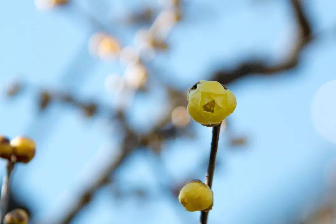 广东|这种贵州味道，广东人爱了！