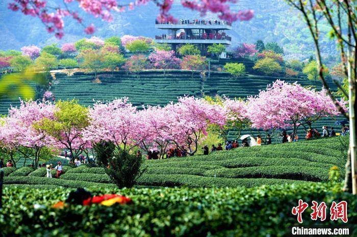 电影|今天来回忆那些念念不忘的经典儿歌，你会想起哪首？