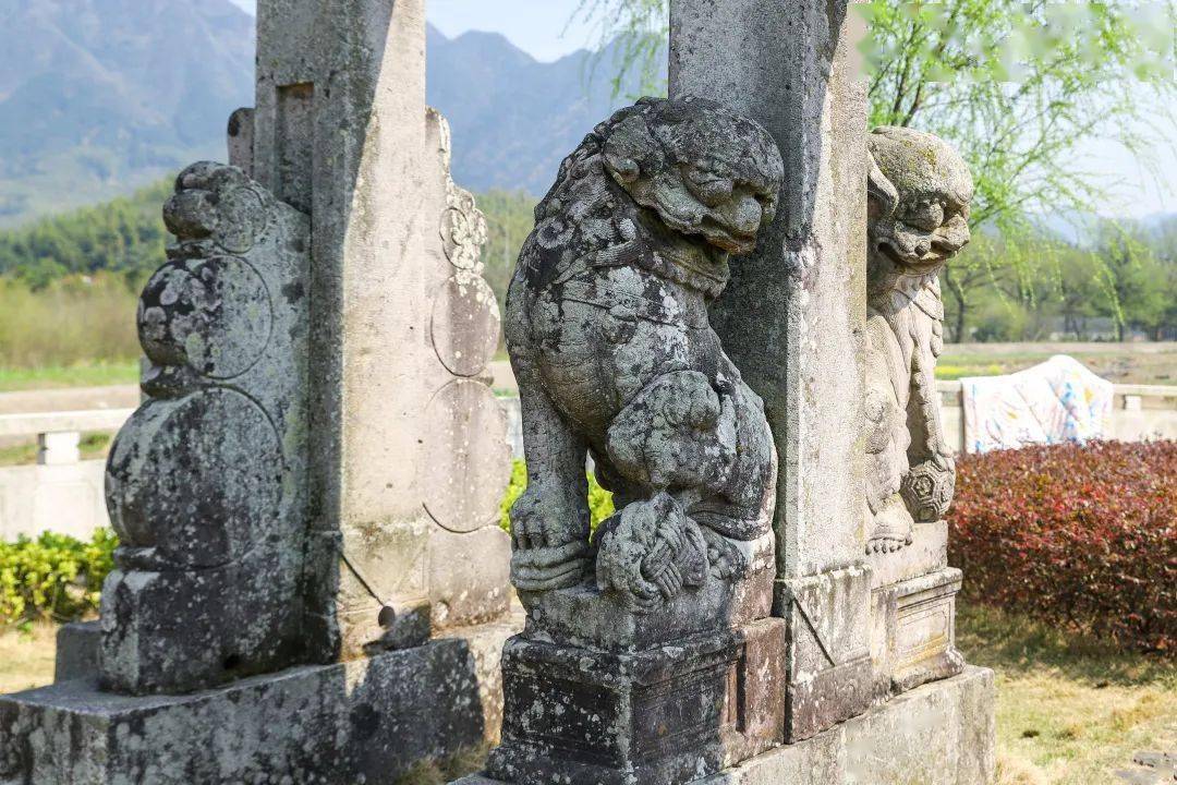 藏不住了在泾县真羡慕住在这个村子里的人