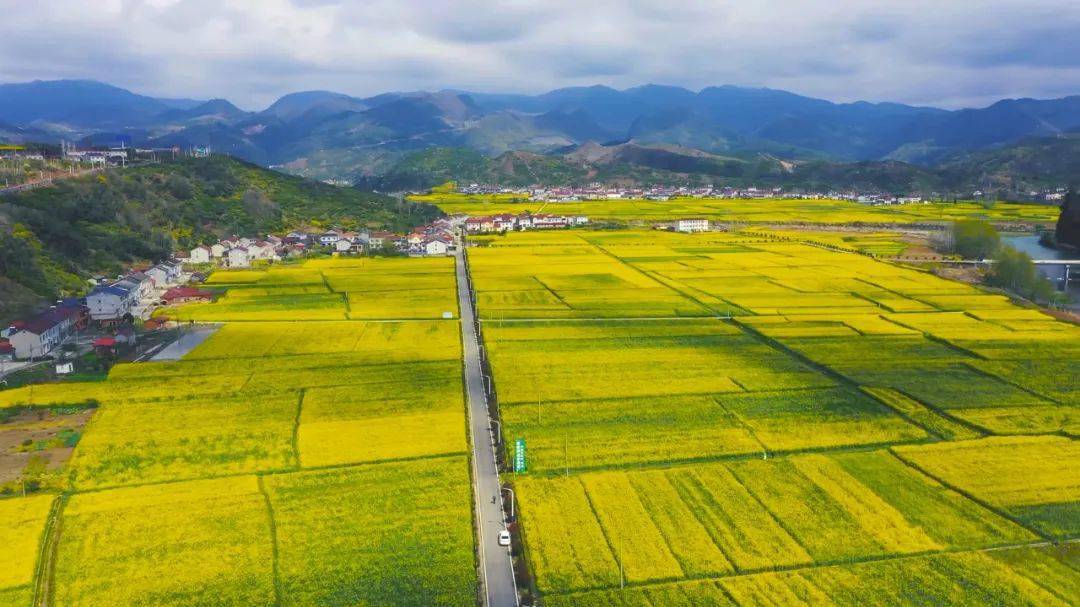 油菜花_城关_巡检镇