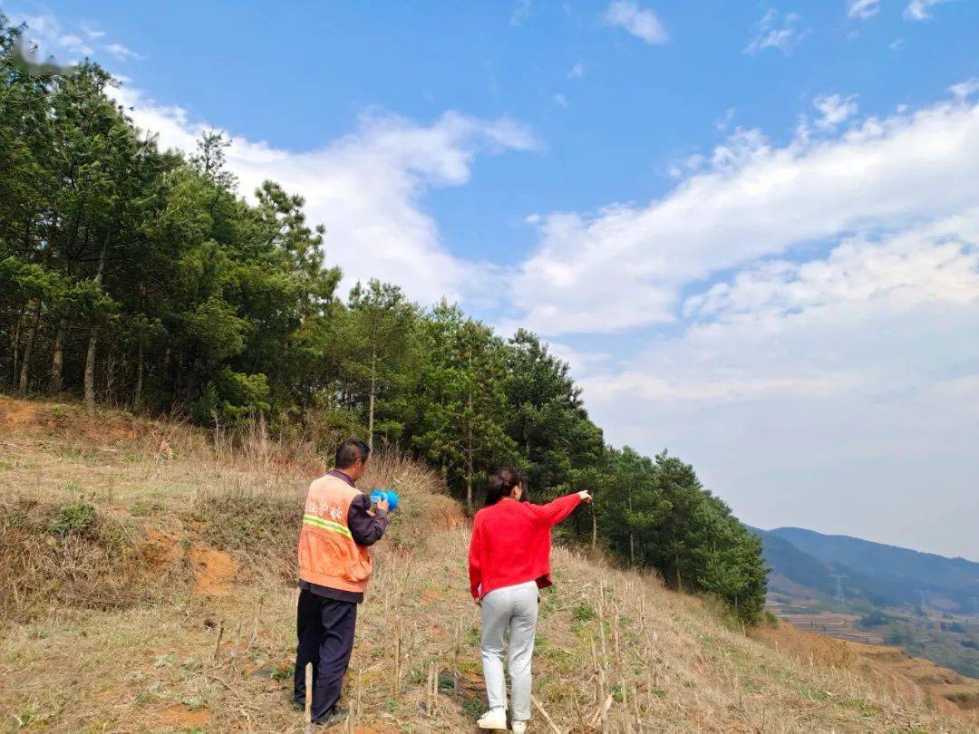 日前,宣威市龍場鎮黃村村委會按照網格化管理工作開展相關要求,本著