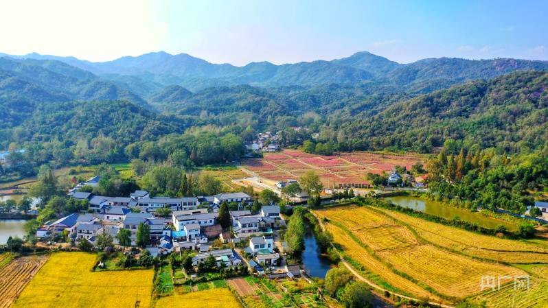 罗山|【家乡的风景】河南罗山：阳春三月里 醉美王大湾