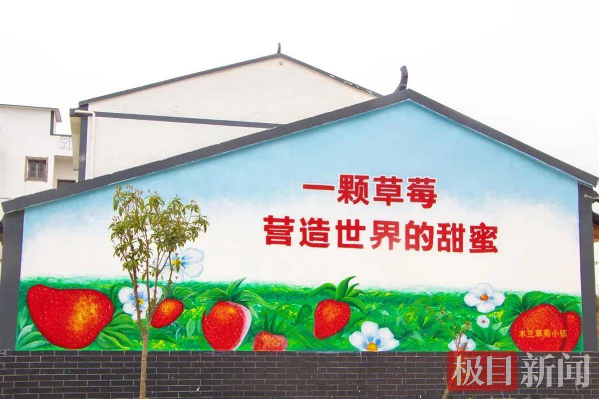 村舍民居的外墙上,画着各式各样的草莓主题墙绘,一幅"绿树村边合,青山