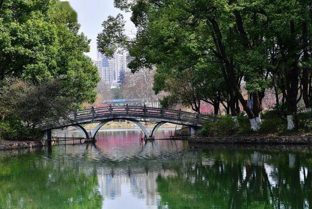 建设|武汉评出15个最美河湖,你最爱哪一个?