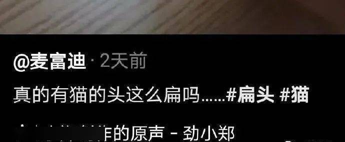 都说 10w元一条的黑丝透视裤？真是小刀扎屁股，开了眼了…