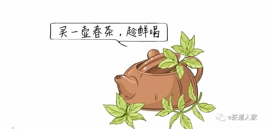 春茶