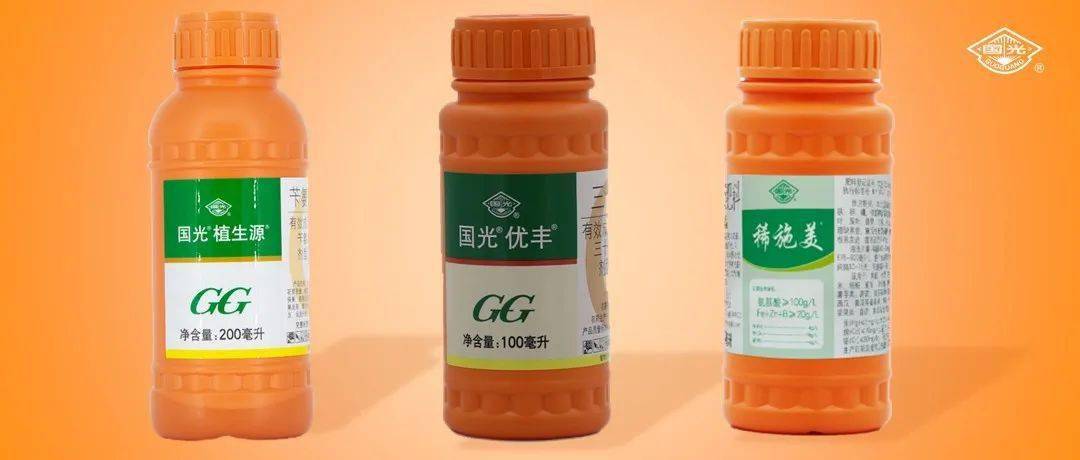可在芽苞泛绿期使用植优美套餐进行全株喷雾1-2次,重点喷芽苞,既能