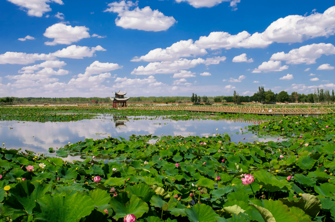 腾格里沙漠湿地·金沙岛旅游区图片