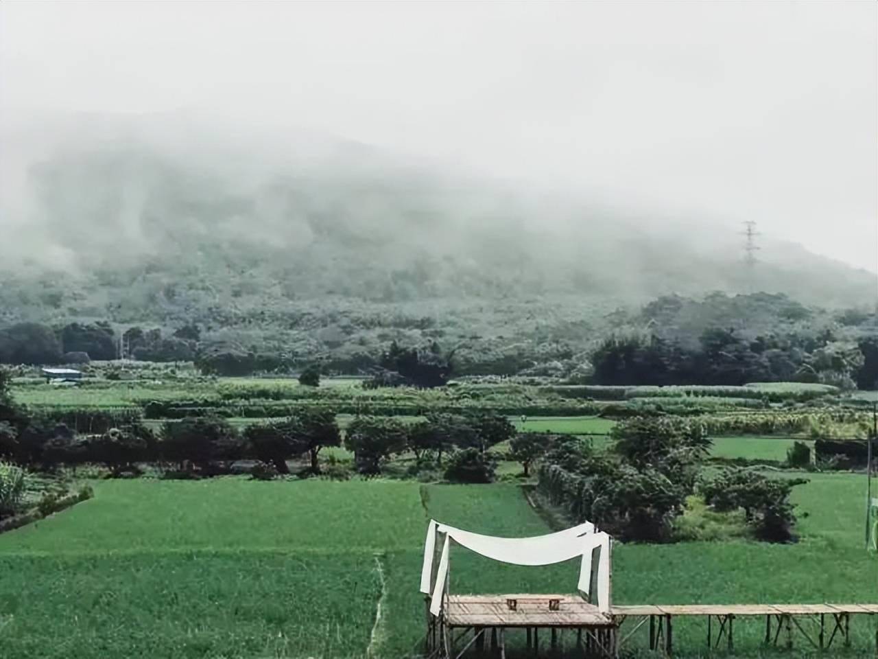 270°玻璃稻田星空屋丨增城宛若故里稻田里_生活_田野_番薯