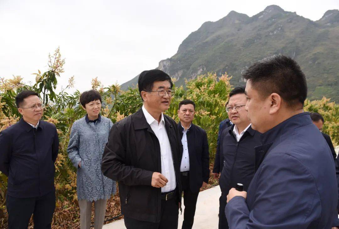 春茶采摘情况慕德贵在关岭牛产业园调研省人大常委会研究室副主任李胜