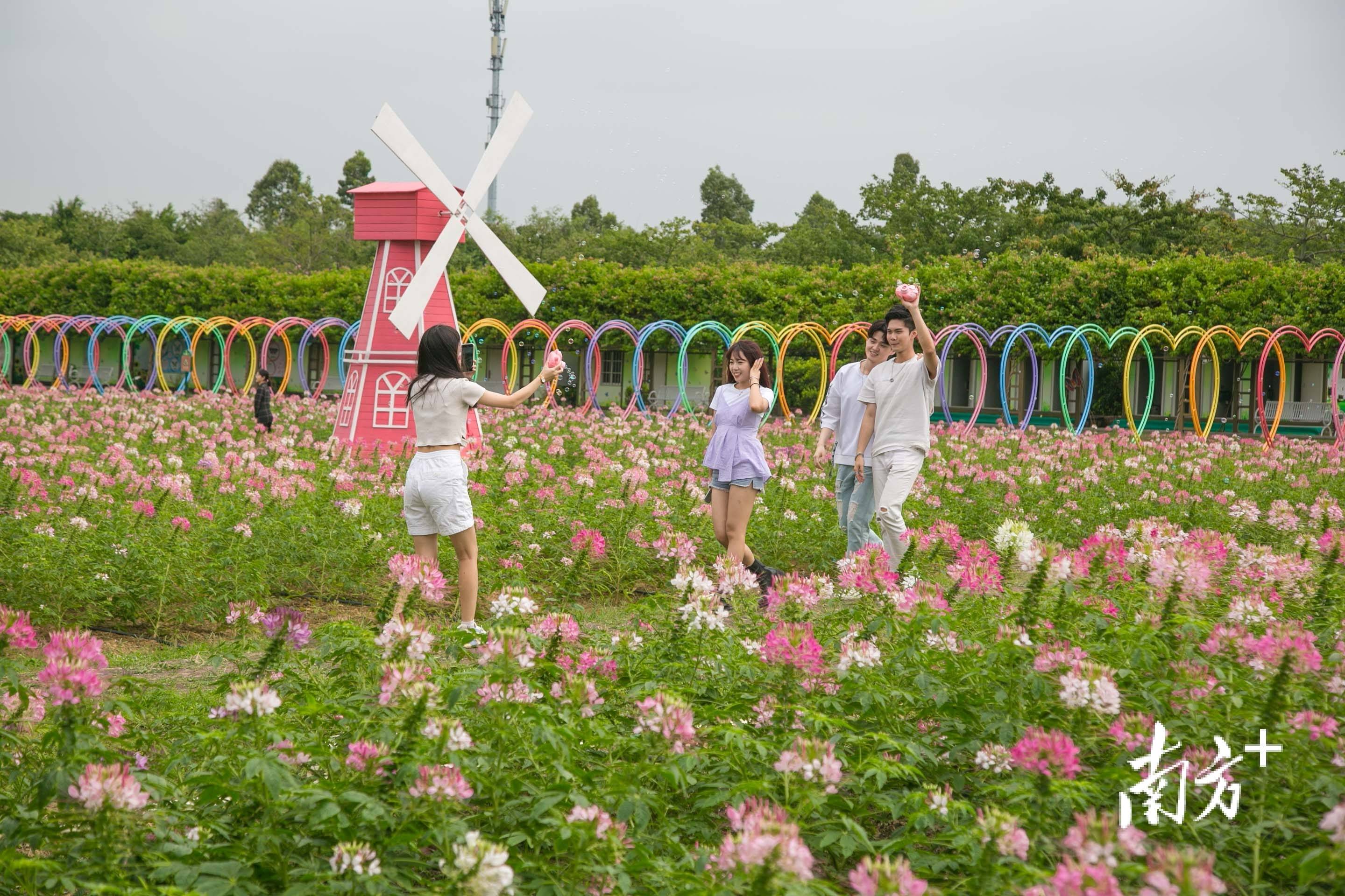 扬州西江生态园门票图片