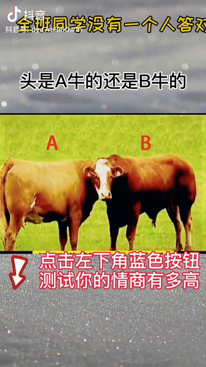 头是a牛的还是b牛的情商情商测试小程序测试