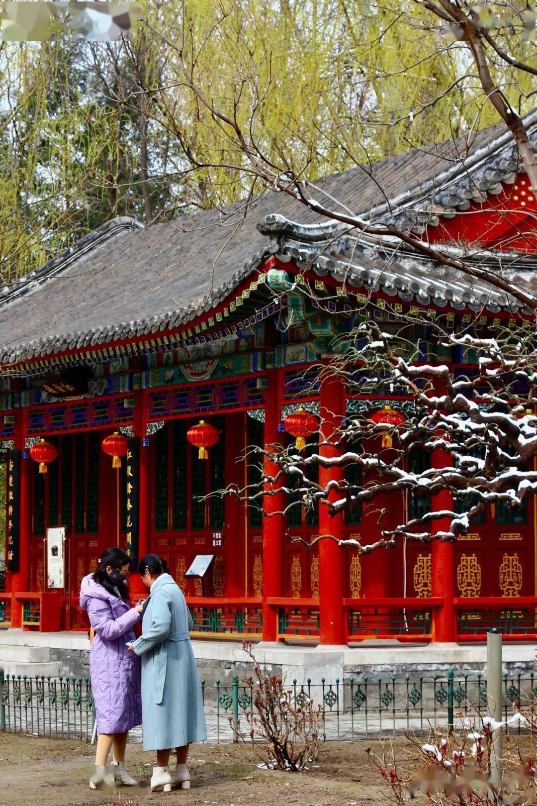 北京春中雪,大观园大观_苏长荣_红楼_搜索