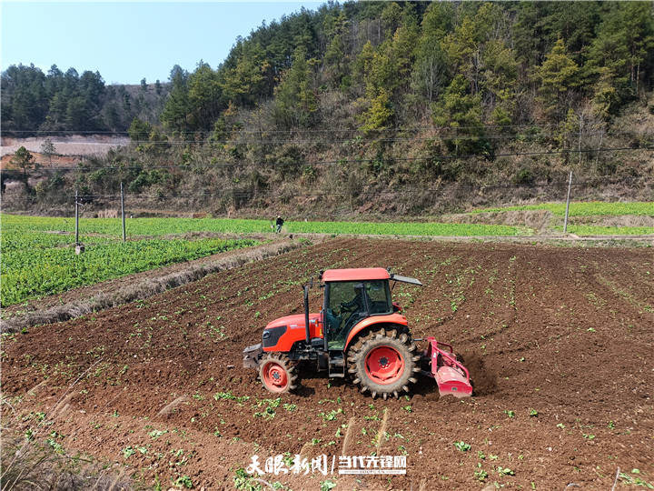 田间,黄平县烟草公司为抢抓农时节令,确保绿肥压青和烟地翻犁取得实效