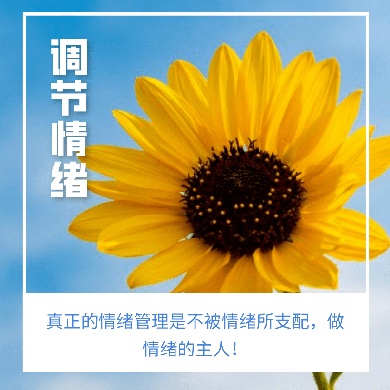 心理微课堂疫情防控期间教师如何调节情绪