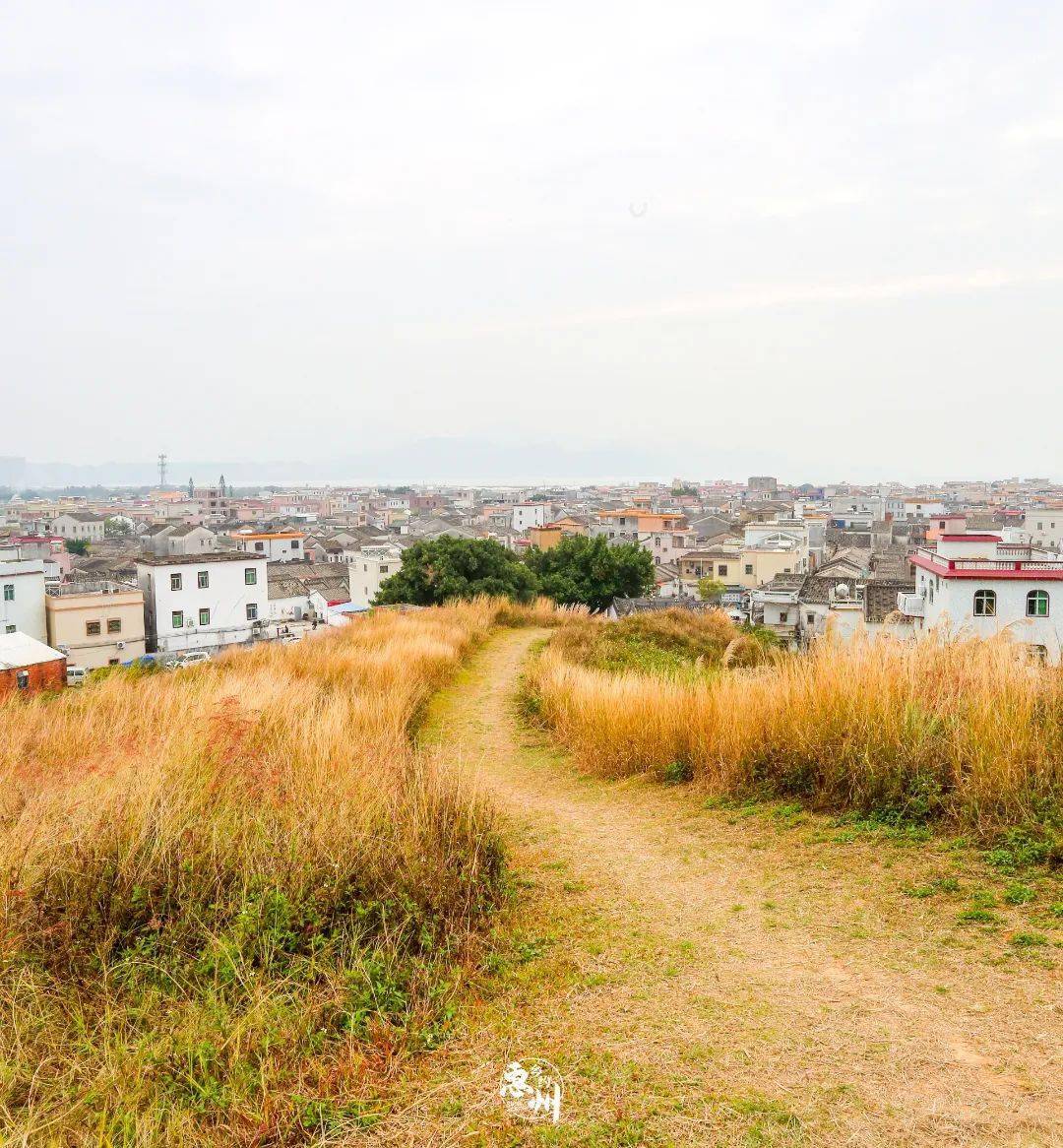 惠东有条村很出名如今变身旅游景区了