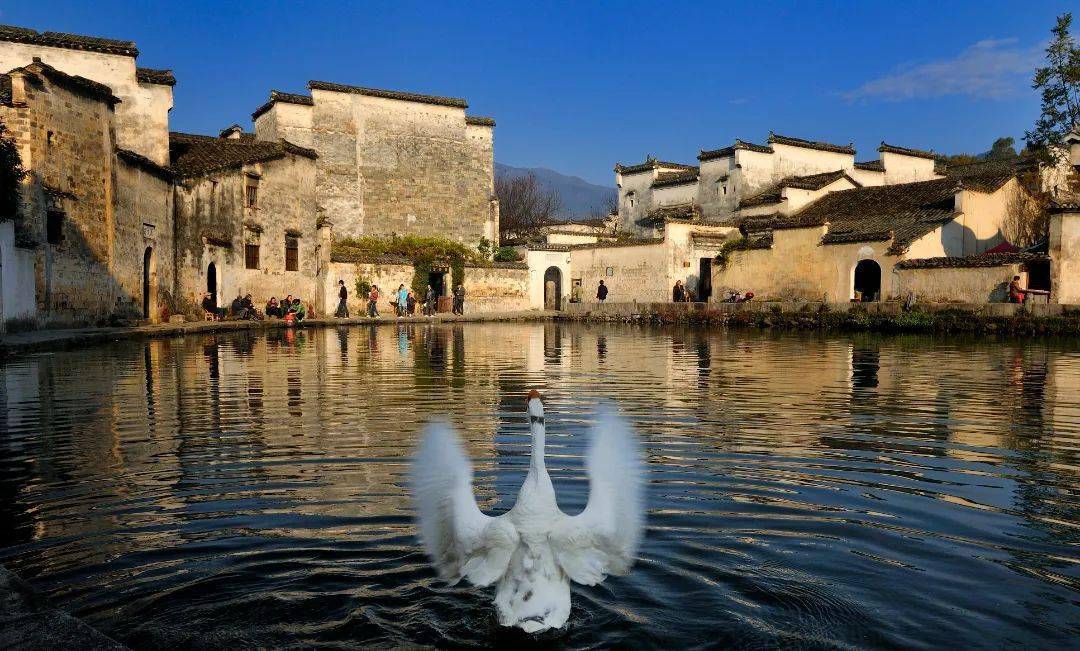 四季黄山相约春天文物带你游安徽宏村印象