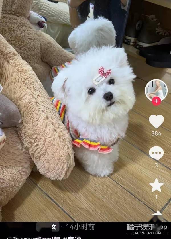 什么素颜