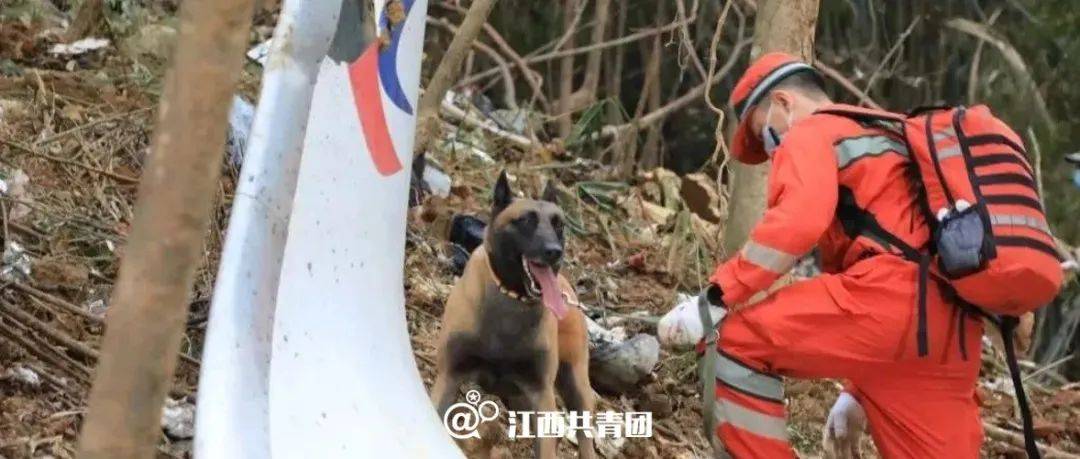 遇难者遗物21件、撞击点最深处约20米…最新消息汇总!_事故_工作_飞机