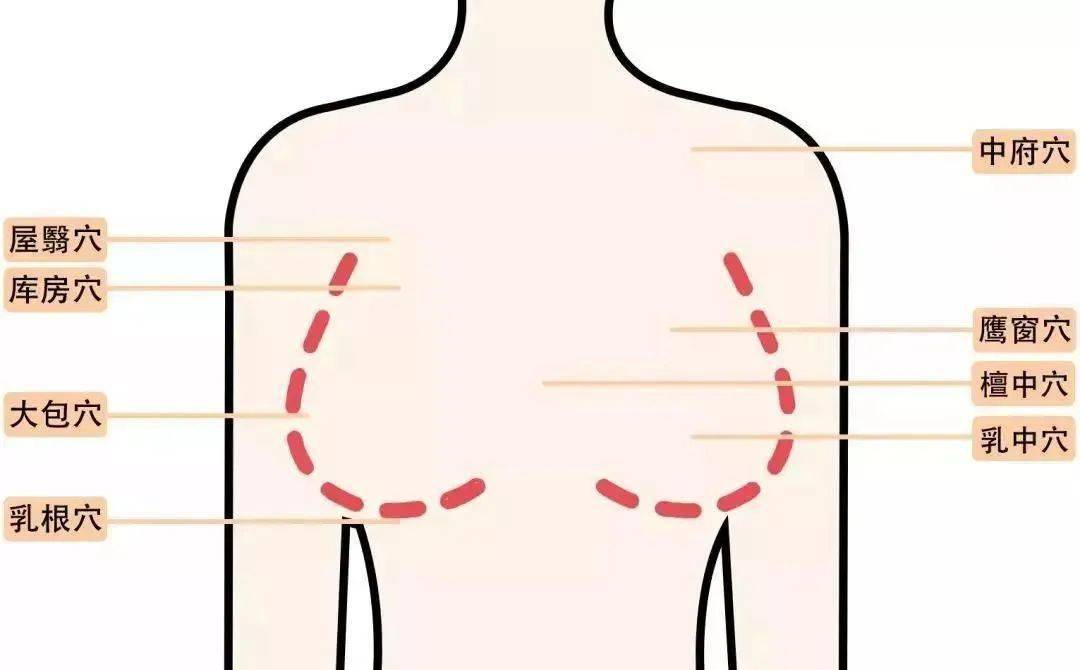 做一次胸可以通9条经络,108个穴位!_乳房_淋巴_胸部