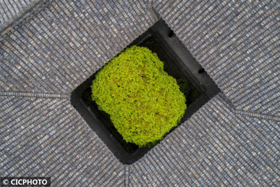 天井|新绿染古城
