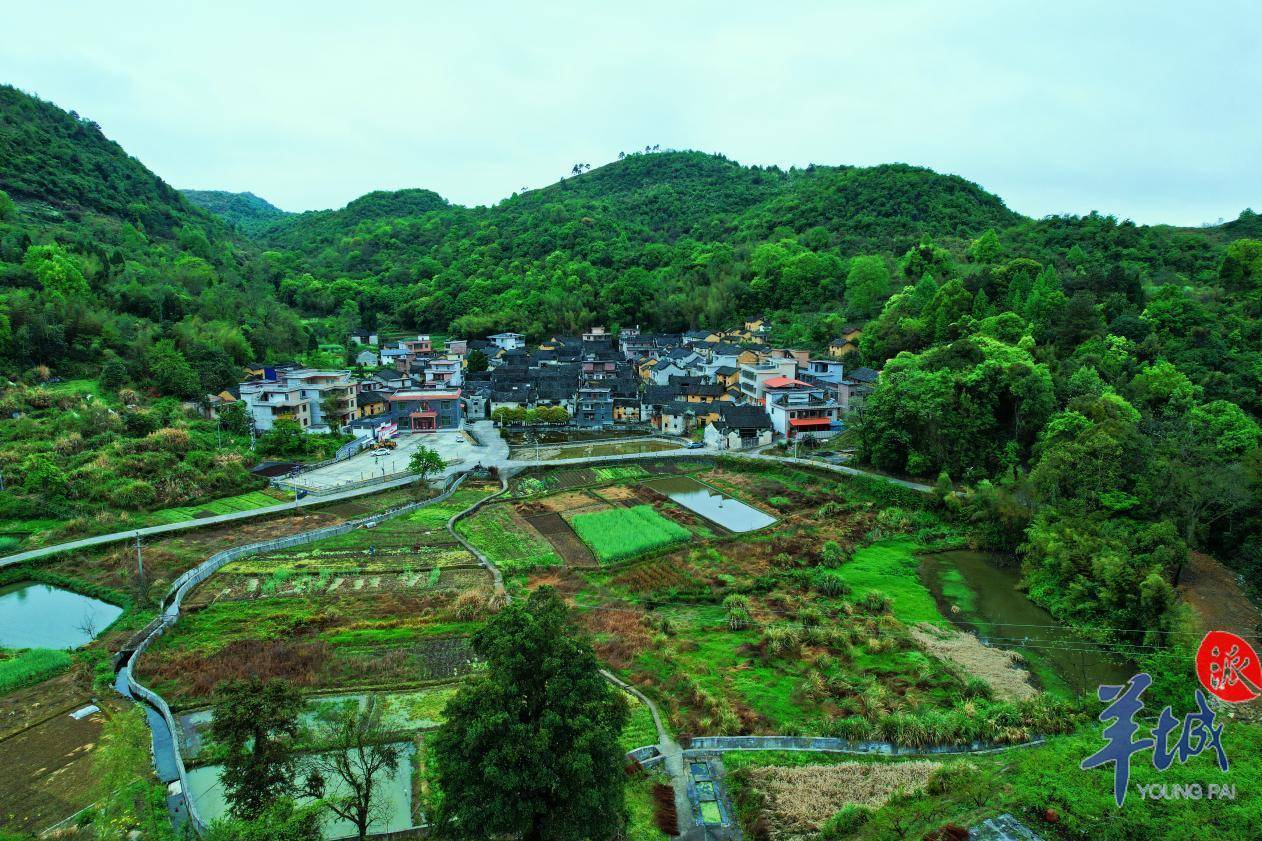 图集韶关乐昌庆云镇盎然春意莫若此八百余岁户昌山