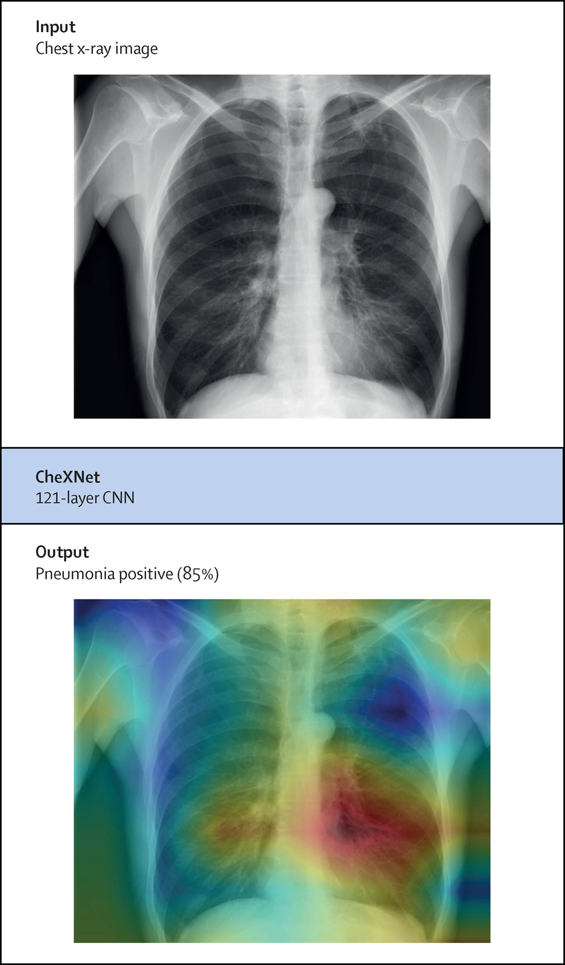 如何应对AI可解释性危机，解释和验证更应关注哪个？