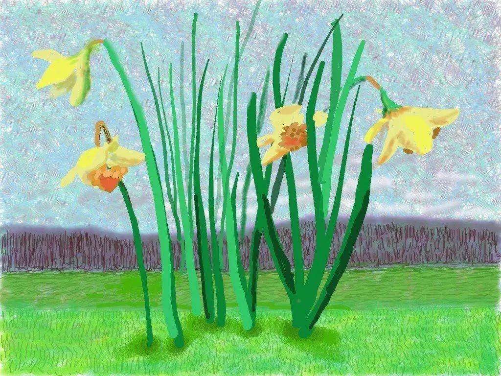 疫情下的艺术 大卫 霍克尼的水仙花是一颗暖心 解药 作品 They Can