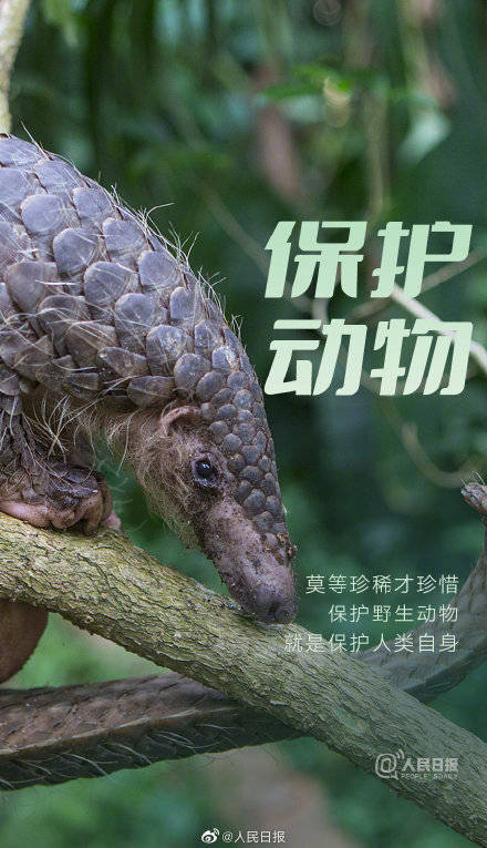 今天，为我们的地球发声：爱地球不止一小时