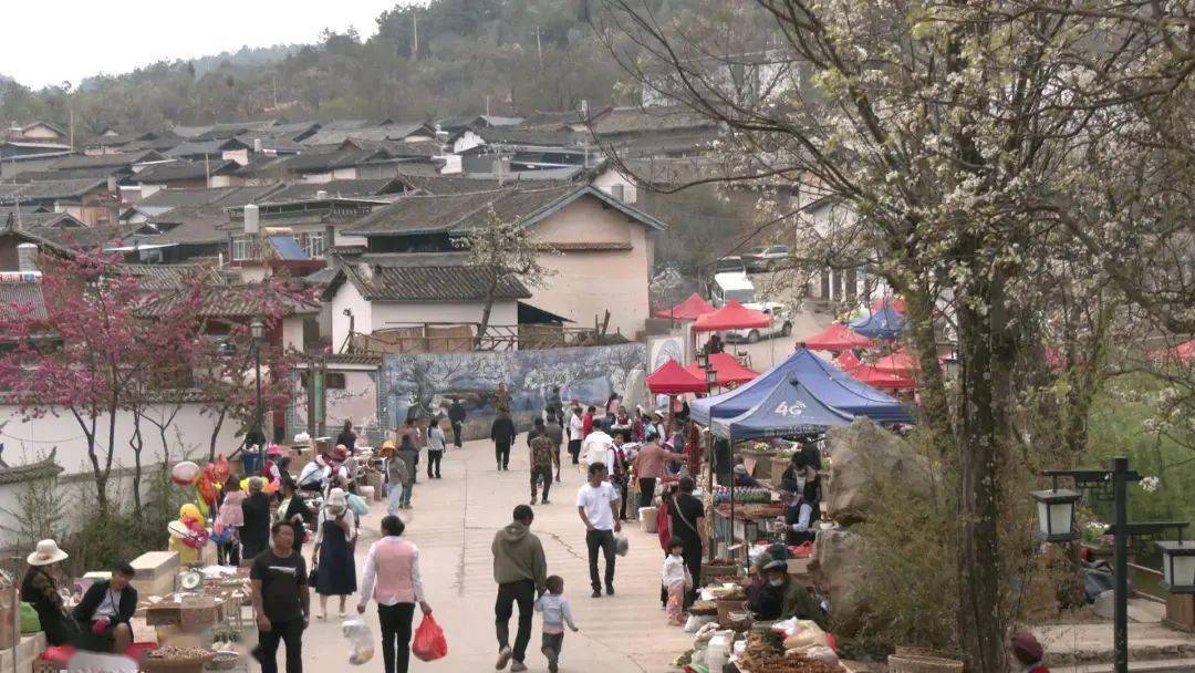 2015年10月,鹤庆县西邑镇奇峰梨花村古树梨花入选大理州"十大美丽乡愁