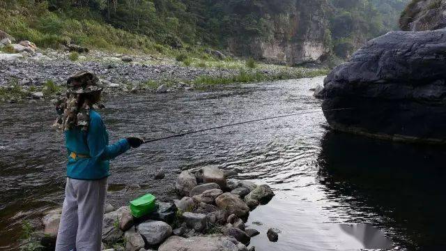 春钓山溪白餐鱼