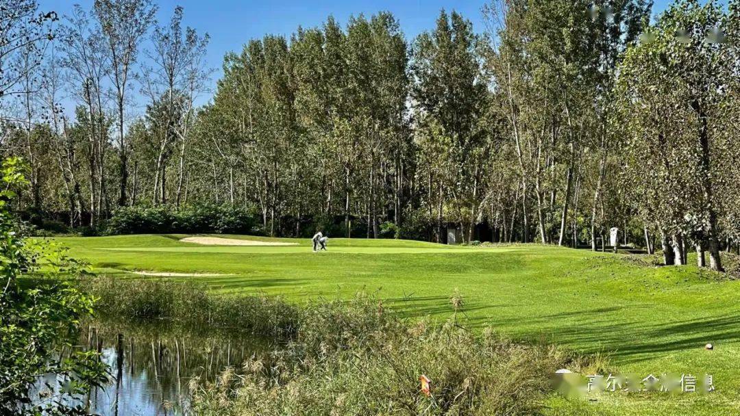 黄港高尔夫虎年特惠活动地点:黄港高尔夫俱乐部击球费用:平日490元