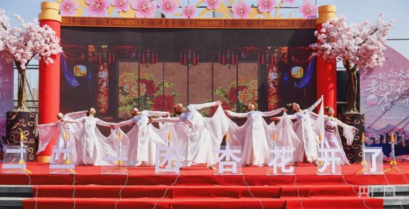 旅游节|“一起向未来 幸福赏花季”221团杏花文化旅游节活动开幕