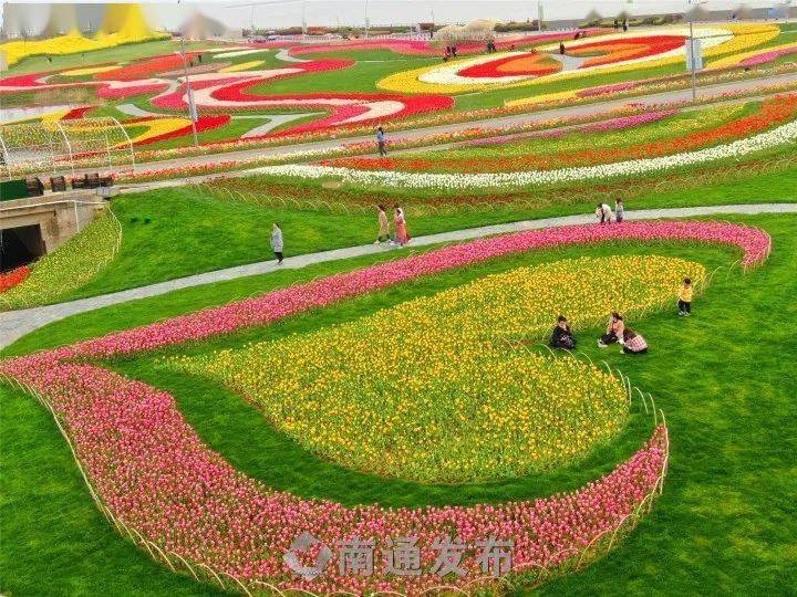 面朝大海 春暖花开丨启东圆陀角郁金香花开正艳