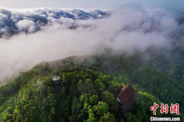 成景|重庆南山云蒸雾绕美不胜收