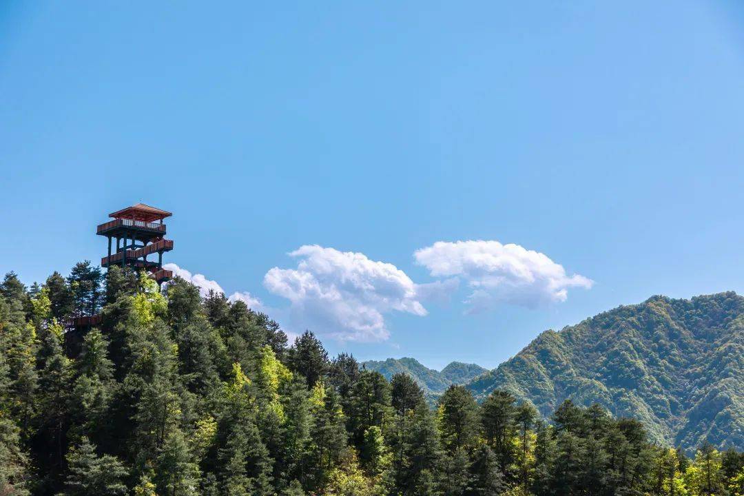 踔厉奋进绘就振兴发展新画卷6767留坝县五年经济社会发展综述