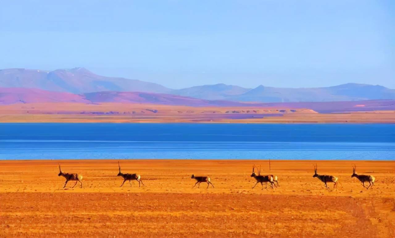 西藏阿里才是真正的西藏