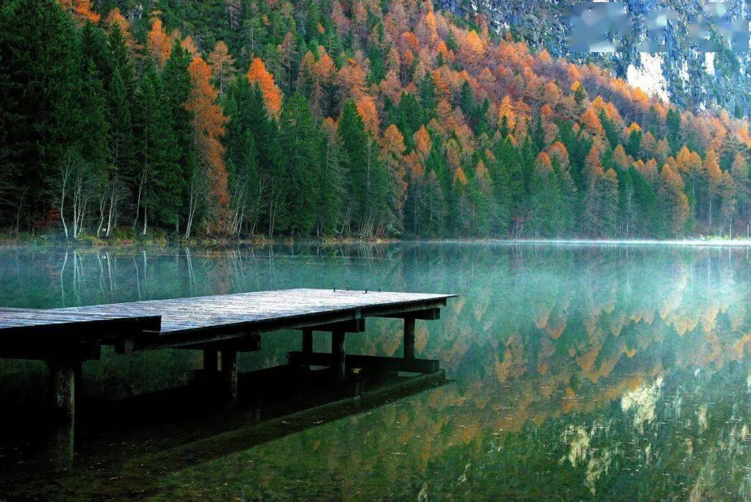 王维最具禅意的8首诗,读一首悟一个禅理_景物_鸟鸣_意境