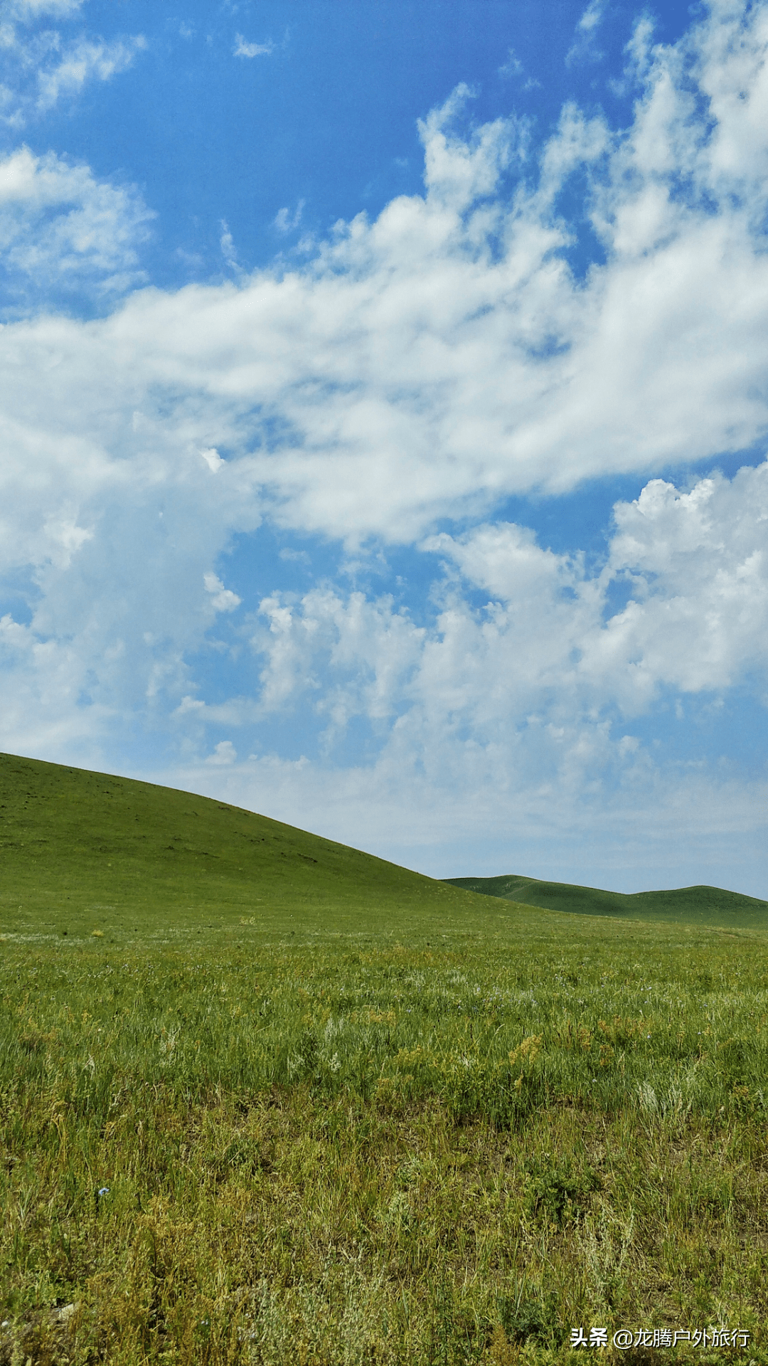 阿泽带你玩内蒙第19期原始野性的锡林郭勒大草原